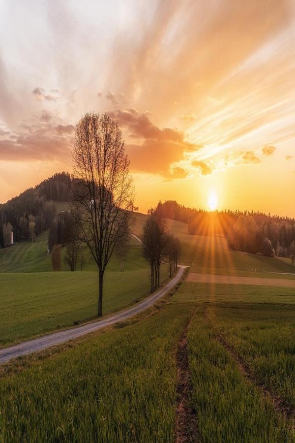 Ferienwohnungen Fichtelgruen Wunsiedel Exterior foto
